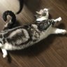 Фото профиля オビ