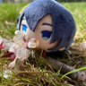 ねこもふ 的头像
