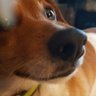 henny penny's profile picture