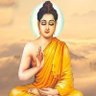 Profilbild von Ravin Gandhi (Hindu Rashtra)๐ฉ