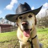 Фото профиля Dogwidahat. I Follow If you Love God and Freedom