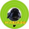 Mariado's profile picture