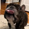 Chubs profil fotoğrafı