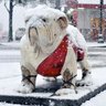 Georgia Weather profil fotoğrafı