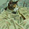 Crisis's profile picture