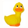 Rubber Duckie 的头像