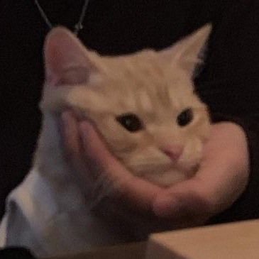 d0ris__'s profile picture