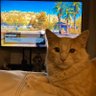 Mac profil fotoğrafı