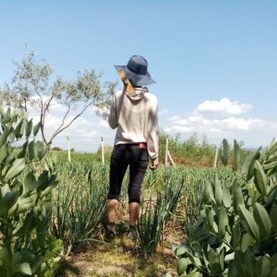 GüLinKa's profile picture