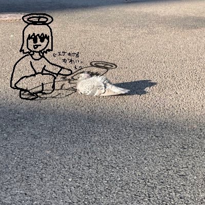 hachigatsu_news's profile picture