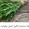 Profilbild von ‏دع المقاديرَ تجري في أعَنّتها