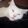 Profilbild von Jaces