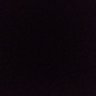 Tomi's profile picture