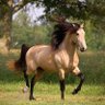 Profilbild von نبحث عنها