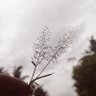 Фото профиля Leuvine