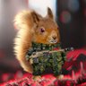 Profilbild von Cyanide