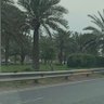 م. ابو صكر العراقي's profile picture