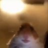 Alessandro Franco's profile picture