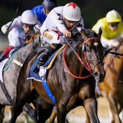 Özdemir Ekürisi's profile picture