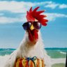 Profilbild von ✨ chook