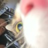 Mateo Ypsis Best's profile picture