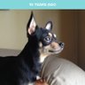 RicosMama profil fotoğrafı