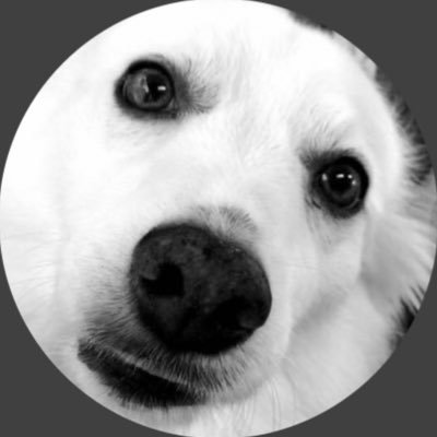 SamSaintTTown's profile picture