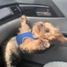 jjoosseepphh's profile picture