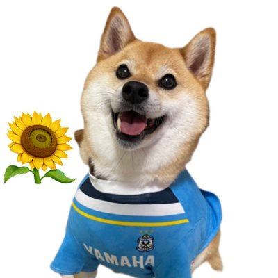 odoYKJXWJzAKcWl's profile picture