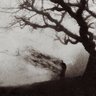山岭郁雨 的头像