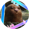 暗い穴🐏's profile picture