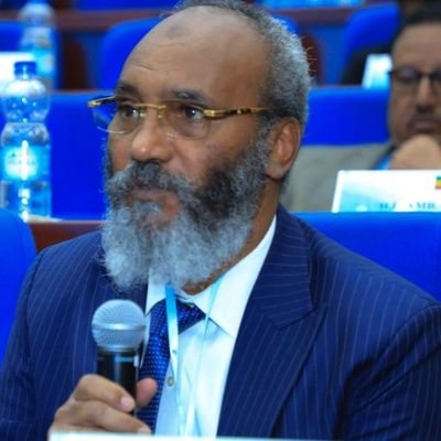SuleimanDedefo's profile picture
