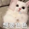 生气雷雷不生气💢's profile picture