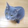 まめ's profile picture