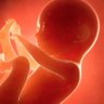 Фото профиля Antiaborto