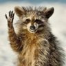 Franz's profile picture