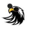 The Hawk Eye's profile picture