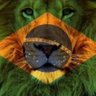 Catarinne's profile picture