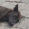 Profilbild von TAKA