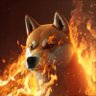 Profilbild von 0xBonk