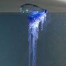 電気海月 profil fotoğrafı