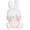 とっと's profile picture