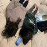 あい profil fotoğrafı