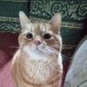 Profilbild von Julie