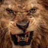 Profilbild von #LEÃOQRUJE!