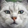 Hubertus Theile's profile picture