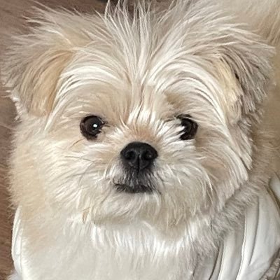 김몬드's profile picture