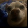 Profilbild von Robbie San
