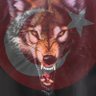 𐰉𐰆𐰔𐰴𐰺𐱃𐱅𐰇𐰼𐰜's profile picture