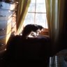 CGBischoff profil fotoğrafı